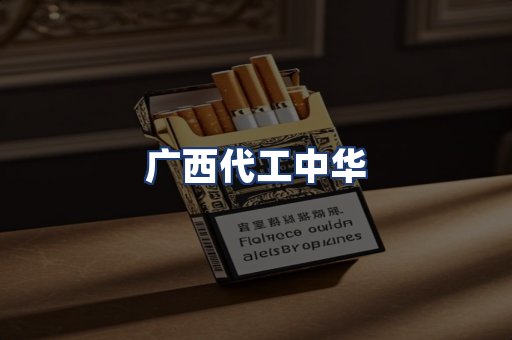 广西代工中华